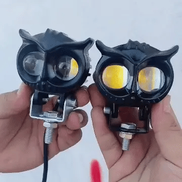 EXPLORADORAS BUHO PAR