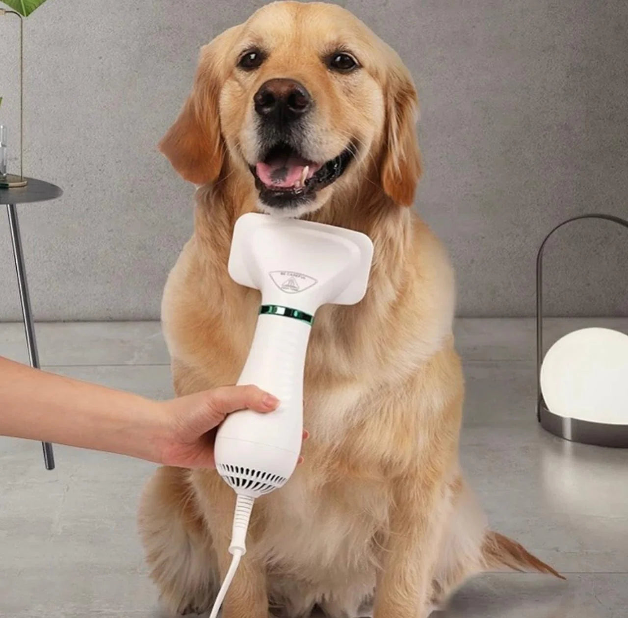 NUEVO SECADOR Y PEINADOR PARA TU MASCOTA. 2 EN 1|| ENVIO GRATIS✅+REGALO HOY