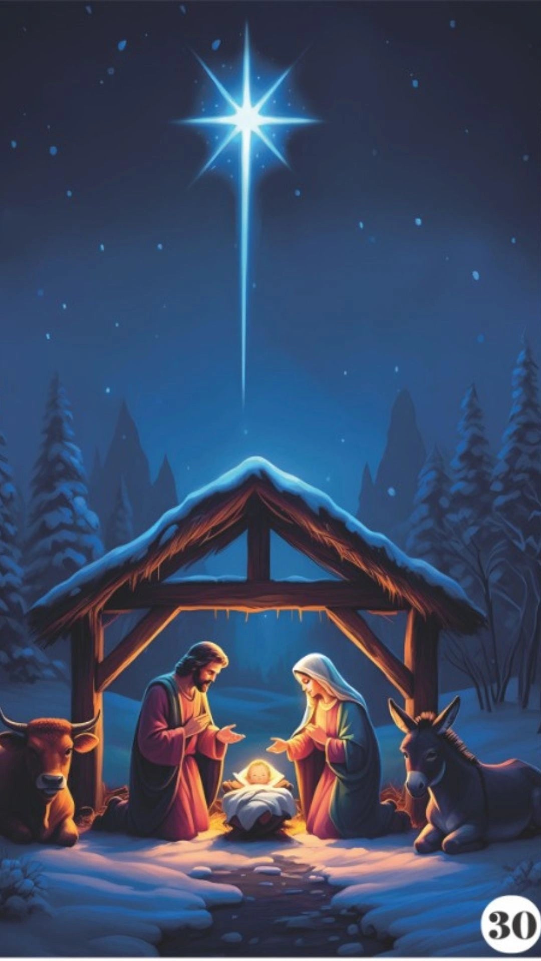 🧑‍🎄Forros navideños ajustables para puerta 🚪